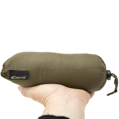 Carinthia Travel Pillow